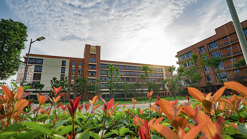 美聯教育集團 美聯教育集團