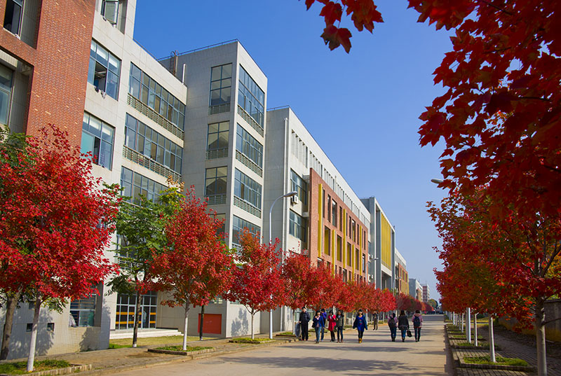 美聯教育集團 美聯教育集團